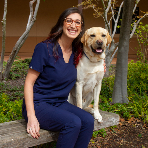 Veterinary Technician Agriculture